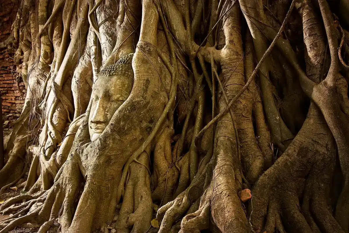 ภาพกรุงเทพฯ: เที่ยวใกล้กรุงเทพ ไปเช้า-เย็นกลับ เทียบ 12 จุดหมาย