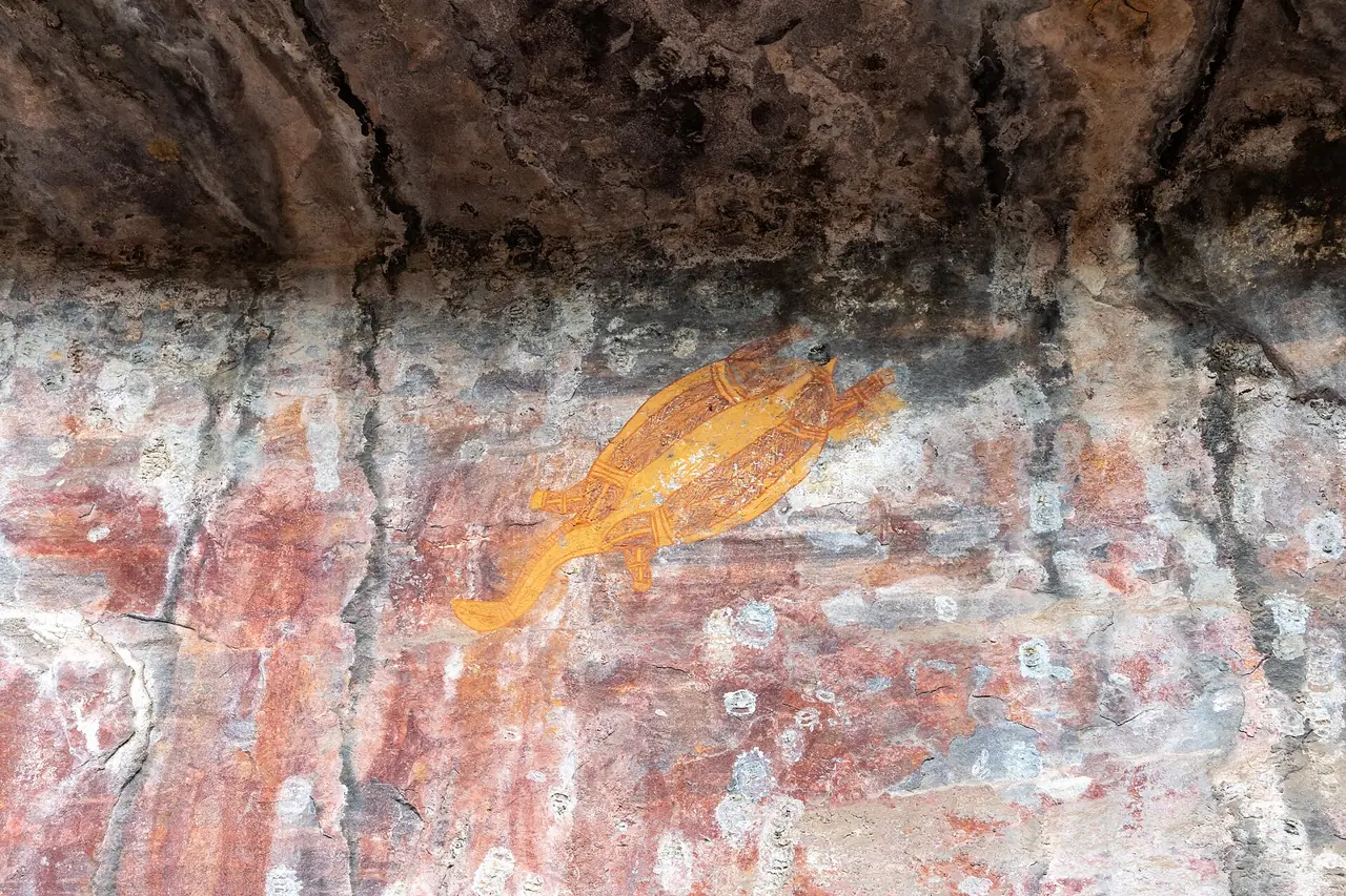 ภาพเขียนสีเหลืองรูปเต่าบนผนังหินที่ Ubirr ในอุทยานแห่งชาติ Kakadu ภาพจาก Wikimedia Commons ผู้ถ่าย Dietmar Rabich สัญญา CC BY-SA 4.0 ถ่ายปี 2019