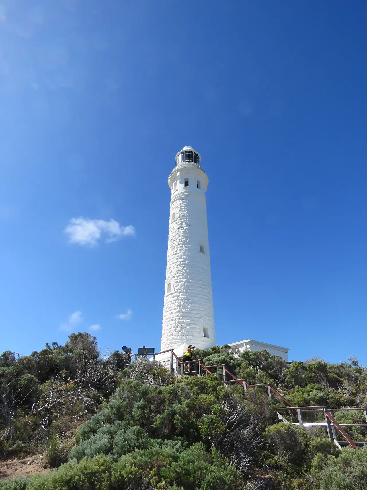 ภาพประกอบ ออสเตรเลีย: เที่ยว Margaret River 2569: ถ้ำ ไวน์ ประภาคาร ค่าตั๋ว