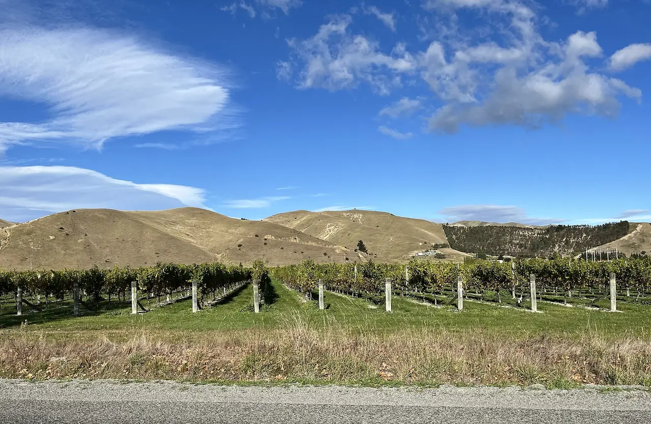 ภาพนิวซีแลนด์: เที่ยว Marlborough 2569: ไวน์ Blenheim เรือ Picton ทางเดิน