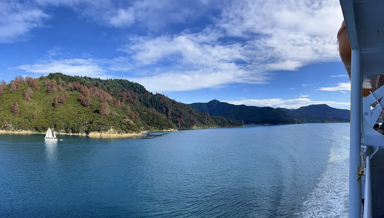 ภาพพาโนรามาของอ่านและเนินป่าใน Marlborough Sounds ถ่ายจากเรือ Interislander ภาพจาก Wikimedia Commons ผู้ถ่าย Ann Woolliams สัญญา CC BY-SA 4.0 ไม่ระบุปีที่ถ่าย