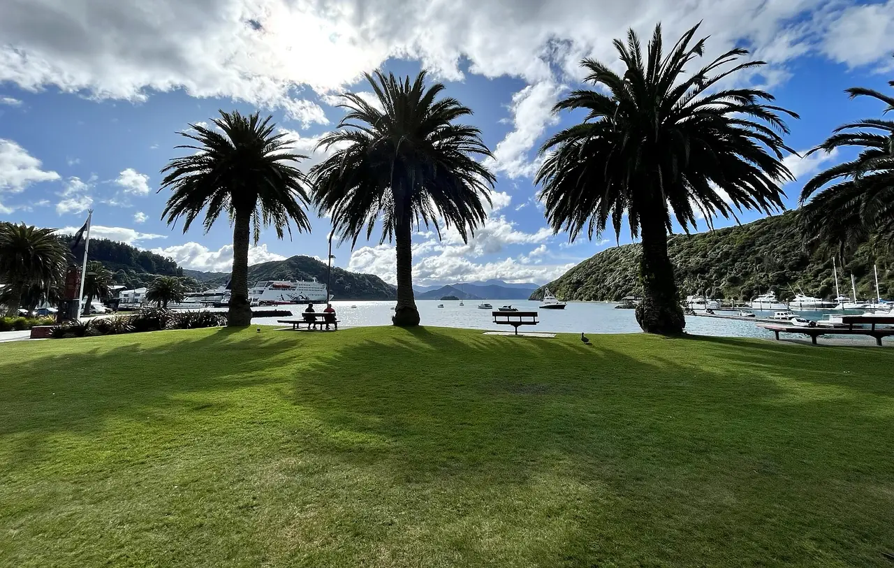 ต้นปาล์มและสนามหญ้าริมน้ำที่ Picton Foreshore มองเห็นเฟอร์รีไกล ๆ ภาพจาก Wikimedia Commons ผู้ถ่าย Ann Woolliams สัญญา CC BY-SA 4.0 ไม่ระบุปีที่ถ่าย