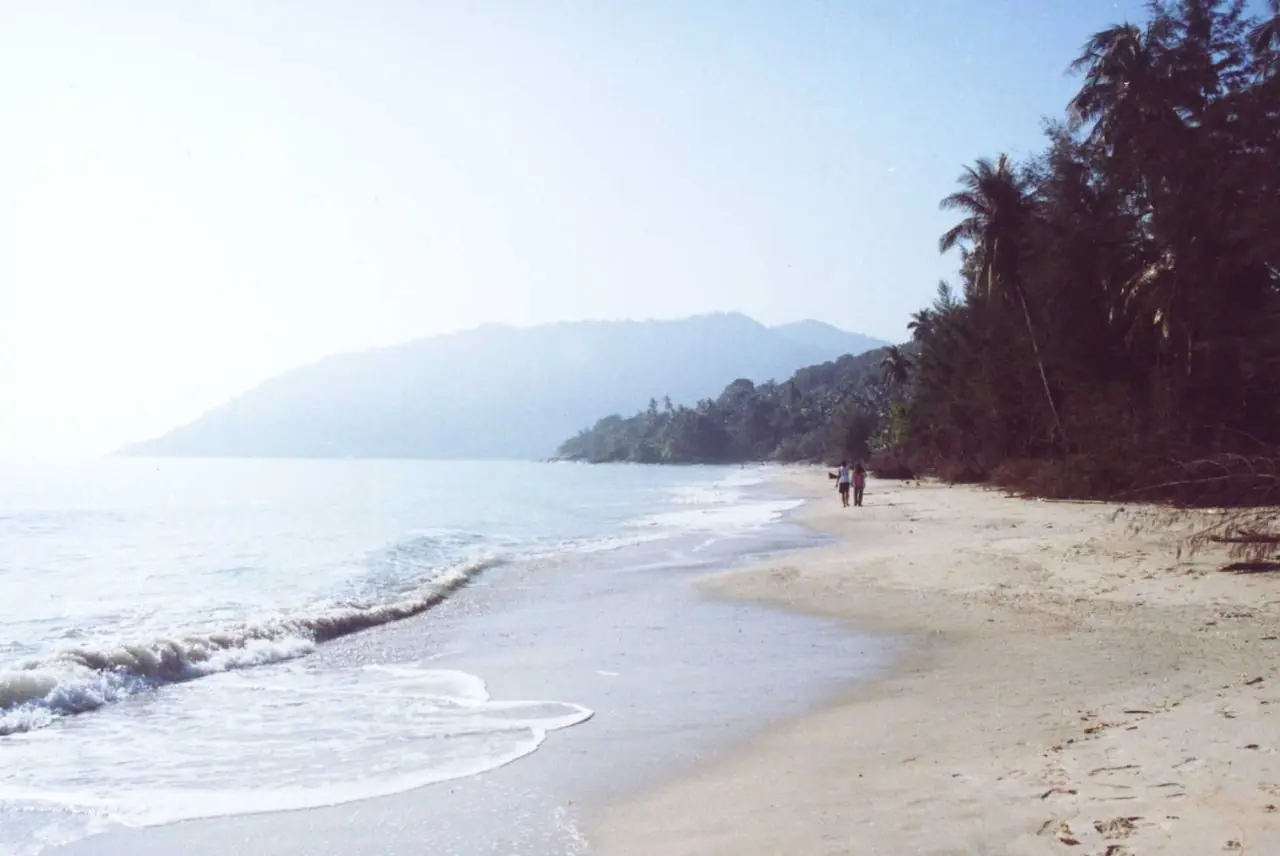 ภาพนครศรีธรรมราช: ขนอม โลมาสีชมพู หาดในเพลา อ่าวท้องหยี เรือ ราคา ไปยังไง