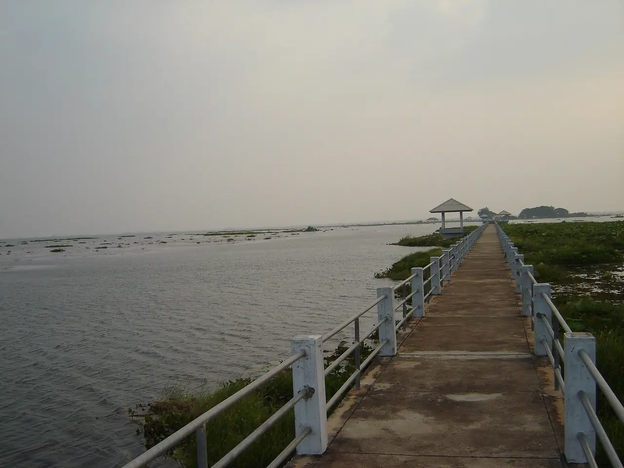 ภาพสกลนคร: หนองหาร ท่าแร่ สกลนคร นั่งเรือ ขบวนแห่ดาว ผู้ไท โส้