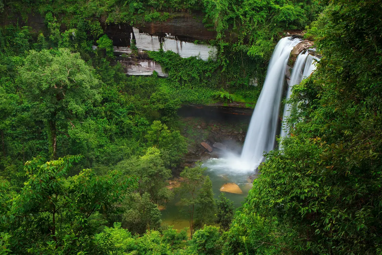 ป่าเขียวรอบน้ำตกห้วยหลวงในภาพวันที่ 20 ก.ย. 2557 ภาพจาก Wikimedia Commons ผู้ถ่าย Khunkay สัญญา CC BY-SA 3.0 เป็นภาพประกอบบรรยากาศป่า ปริมาณน้ำวันอื่นอาจต่างจากภาพ