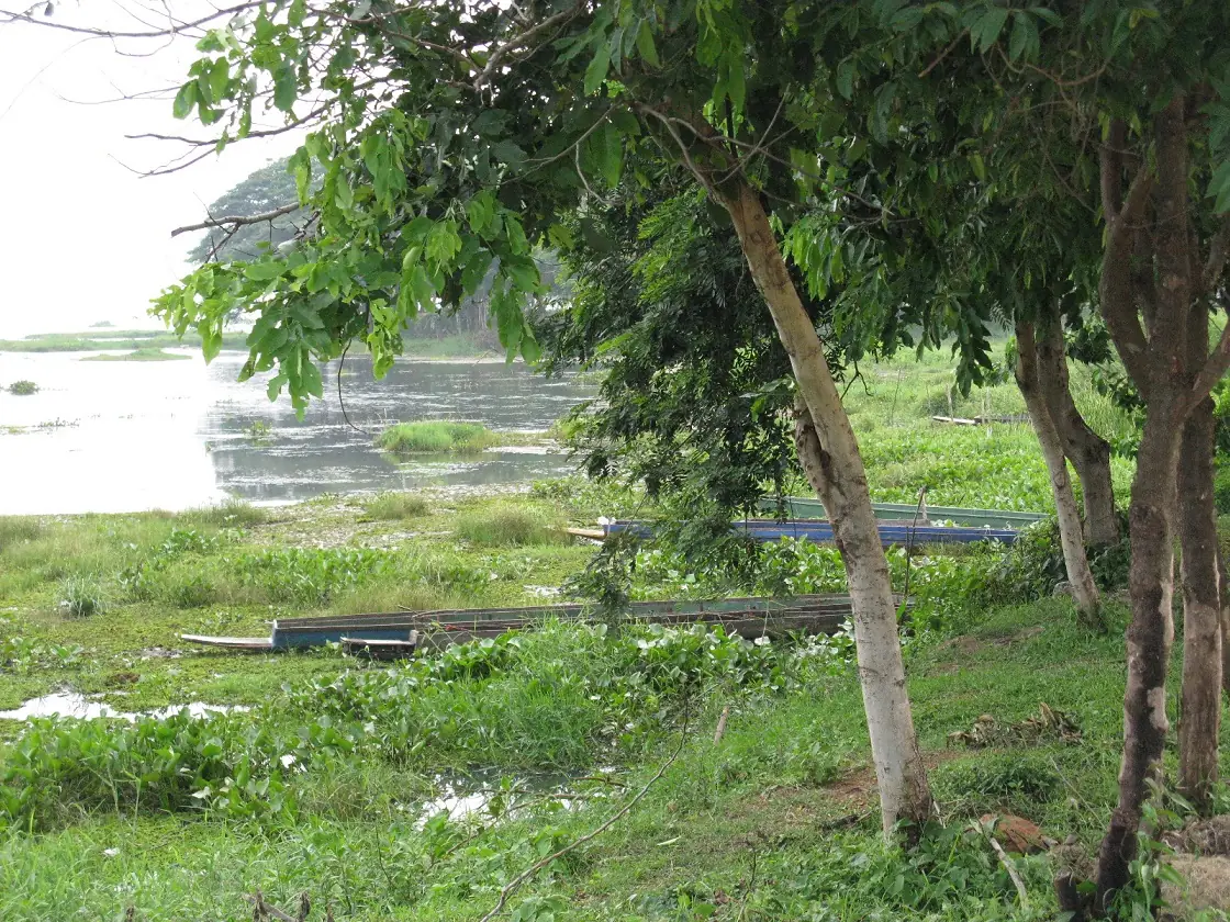เรือไม้ลำเล็กจอดท่ามกลางพืชน้ำริมฝั่งหนองหาร ชื่อไฟล์บนคอมมอนส์ระบุบ้านท่าแร่ ภาพจาก Wikimedia Commons ผู้ถ่าย nakhon100 สัญญา CC BY 2.0 ภาพวันที่ 26 มิ.ย. 2554 ภาพนี้ไม่ได้ถ่ายจากวัดถ้ำผาแด่น เป็นภาพประกอบทะเลสาบที่แหล่งข้อมูลบอกว่ามองเห็นจากลานชมวิว