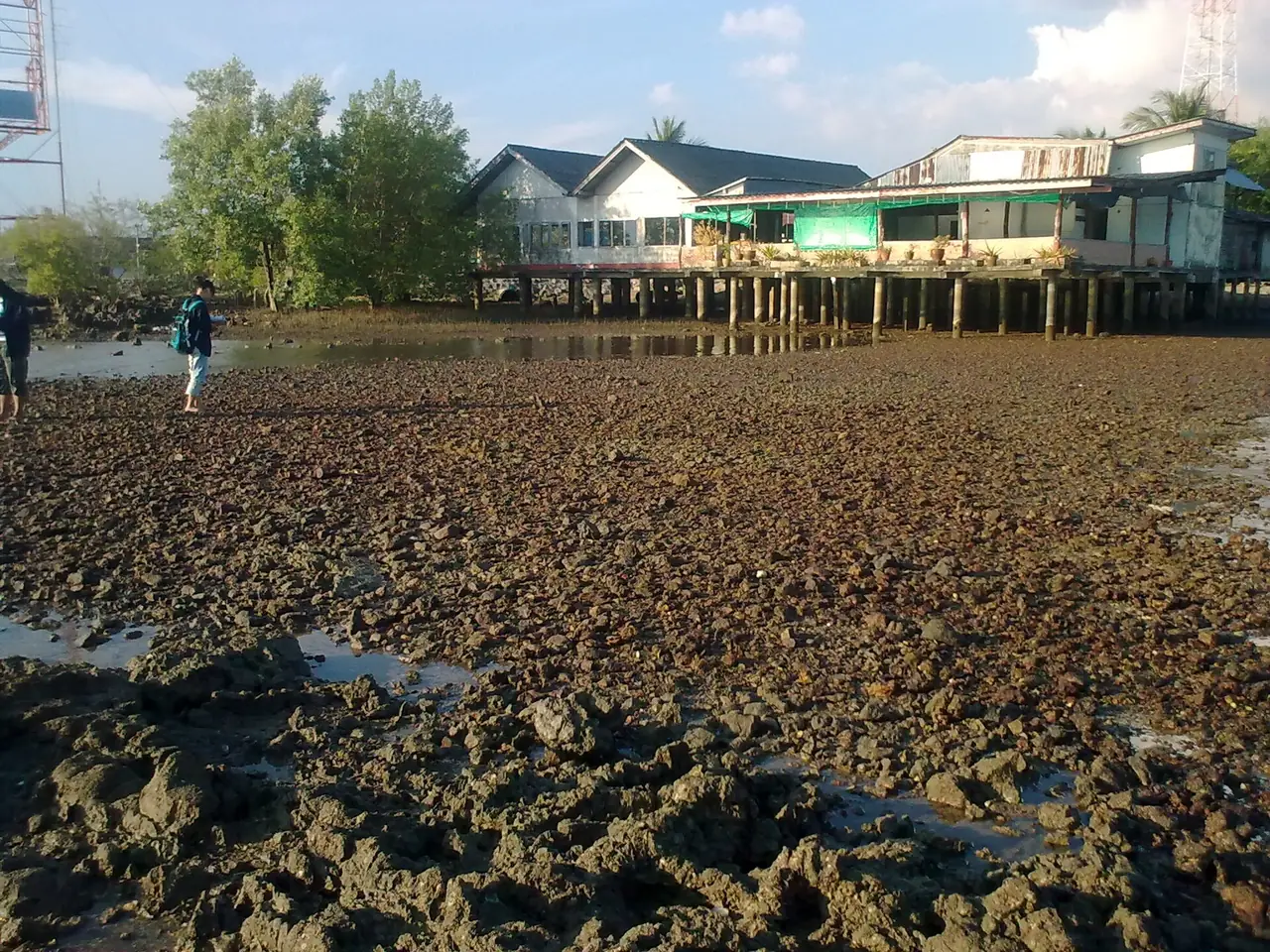 บ้านเรือนยกพื้นริมน้ำและหาดโคลนตอนน้ำลงที่แหลมงอบ ตามชื่อไฟล์ ภาพจาก Wikimedia Commons ผู้ถ่าย Wickanet สัญญา CC BY-SA 3.0 เป็นภาพประกอบบรรยากาศชายฝั่ง ไม่ระบุปีที่ถ่าย