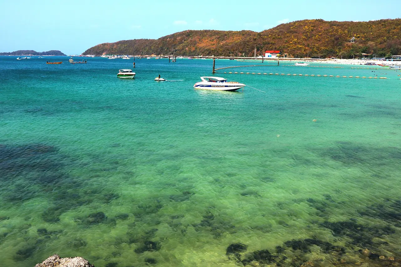 ภาพประกอบ พัทยา: เกาะล้าน 2569 เรือ หาดตาแหวน ค่าเรือ ดำน้ำ ไป-กลับ