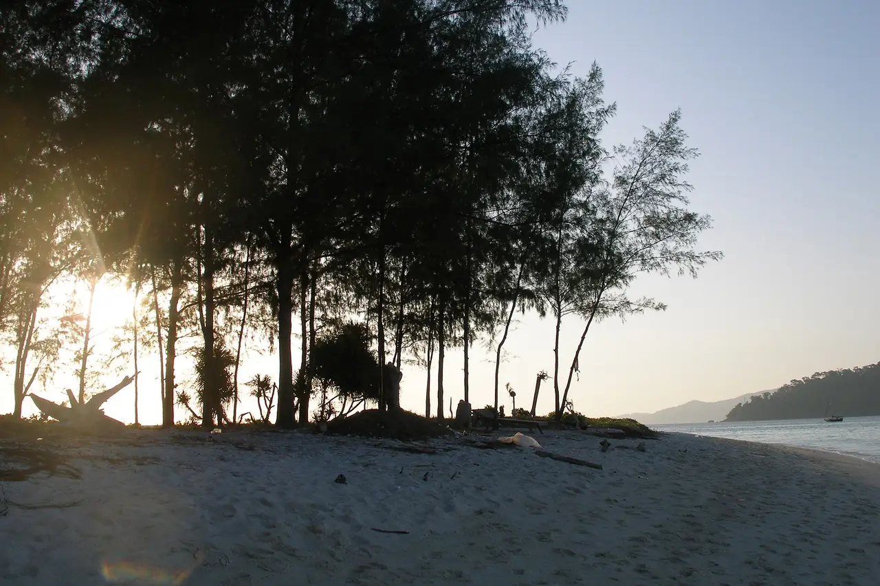 แนวต้นสนริมหาดทรายยามพระอาทิตย์ตก ชื่อภาพบน Commons ระบุว่าเป็นหลีเป๊ะ ไม่ระบุหาด ภาพถ่ายจาก Wikimedia Commons ผู้ถ่าย Vyacheslav Argenberg สัญญา CC BY 4.0 เป็นภาพประกอบ