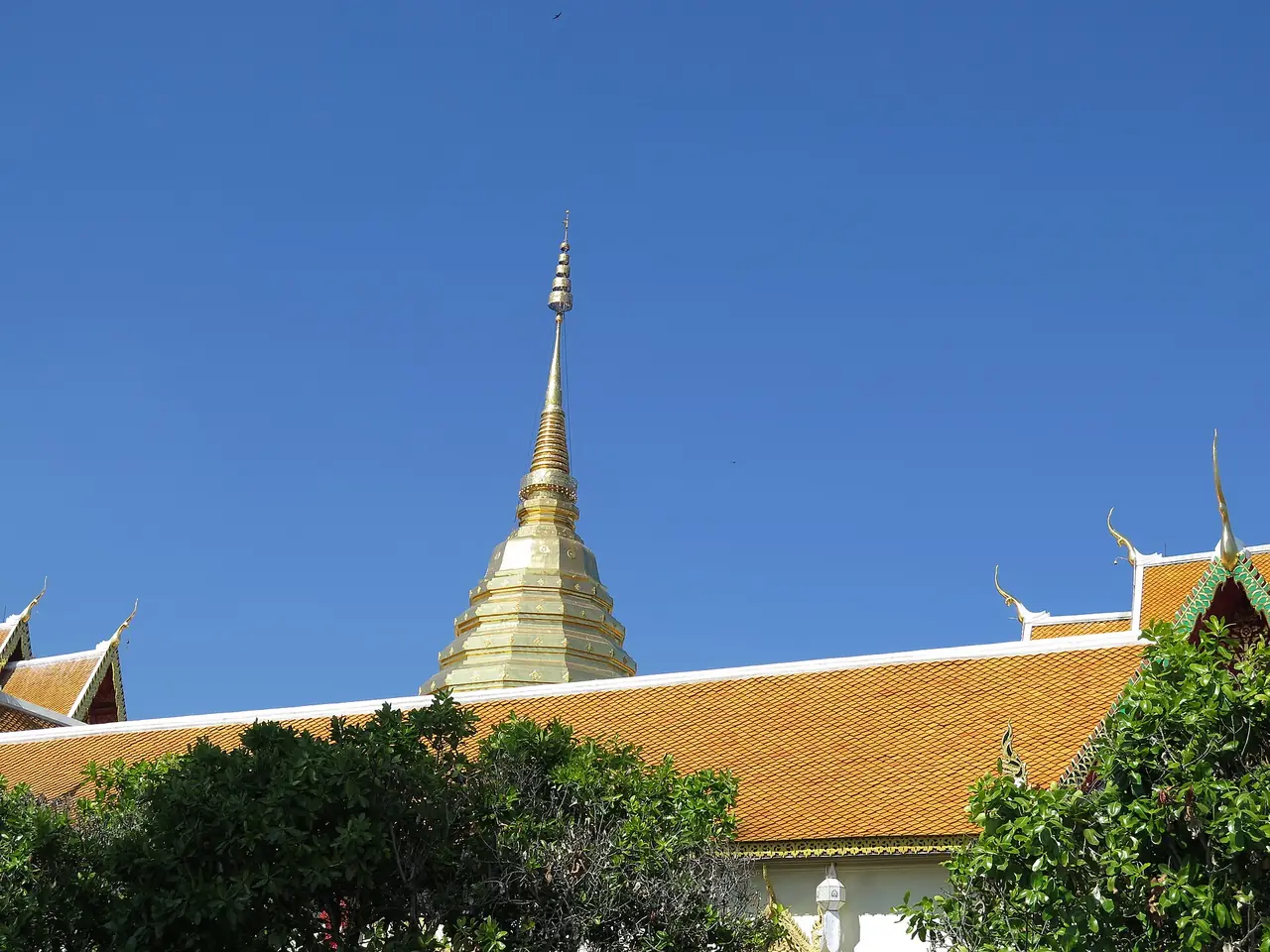 ยอดเจดีย์ปิดทองโผล่เหนือหลังคาวิหารกระเบื้องส้มที่วัดพระธาตุดอยสุเทพ ภาพจาก Wikimedia Commons ผู้ถ่าย Douglas Perkins สัญญา CC BY 4.0 ชื่อไฟล์เรียกว่าเส้นขอบฟ้าดอยสุเทพ ไม่ลงวันที่ถ่าย เป็นภาพประกอบ