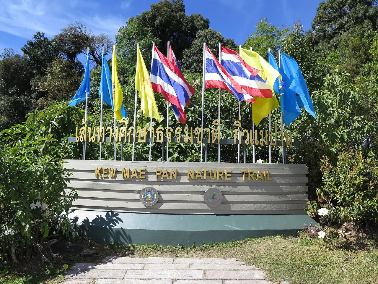 ป้ายหัวทางเส้นทางศึกษาธรรมชาติกิ่วแม่ปาน (Kew Mae Pan Nature Trail) พร้อมธงหลายสี ภาพจาก Wikimedia Commons ผู้ถ่าย Douglas Perkins สัญญา CC BY 4.0 ไม่ลงวันที่ถ่ายในรายละเอียดที่เราอ่าน