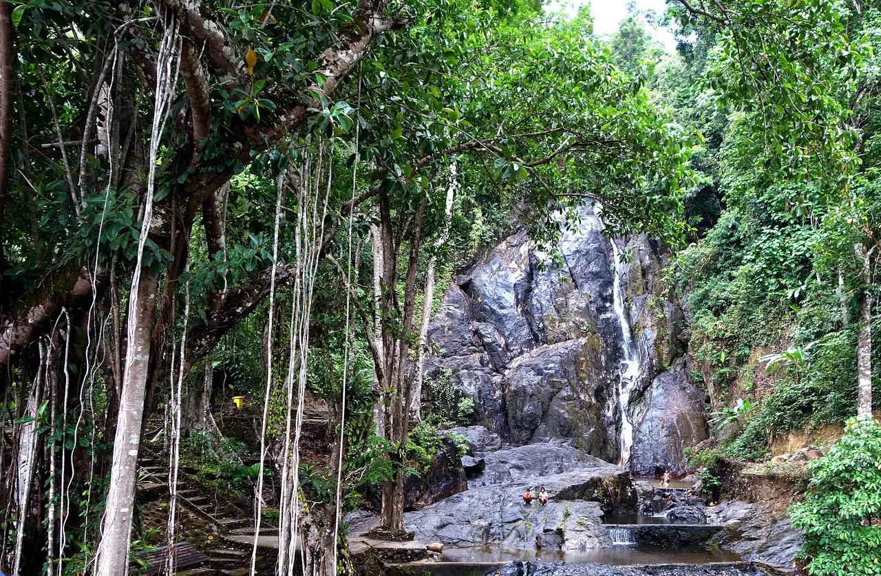 น้ำตกปุญญบาลในอุทยานแห่งชาติลำน้ำกระบุรี ธารน้ำสายเรียวไหลลงหน้าผาหินสีเข้มท่ามกลางป่าชื้นและรากไทร มีคนยืนอยู่ที่แอ่งด้านล่างหลายคน ภาพจาก Wikimedia Commons ผู้ถ่าย attaponlim สัญญา CC BY-SA 3.0 ไม่ทราบวันที่ถ่าย