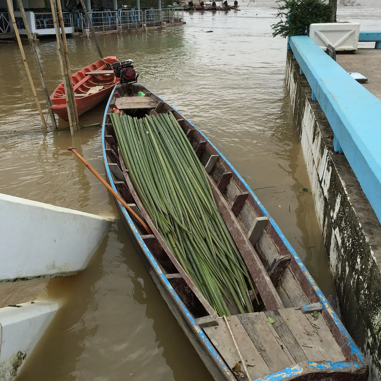 ท่าเทียบเรือริมแม่น้ำที่มีเรือหางยาวไม้ลำหนึ่งบรรทุกลำไม้เขียวจอดอยู่ น้ำเป็นสีโคลน ภาพตั้งพิกัดตำบลน้ำจืด อำเภอกระบุรี ซึ่งเป็นตำบลที่บกกรายอยู่ แต่ไม่ใช่ภาพน้ำตก ใช้แสดงบรรยากาศท่าน้ำในพื้นที่ ภาพจาก Wikimedia Commons ผู้ถ่าย ::::=UT=:::: สัญญา CC BY-SA 3.0