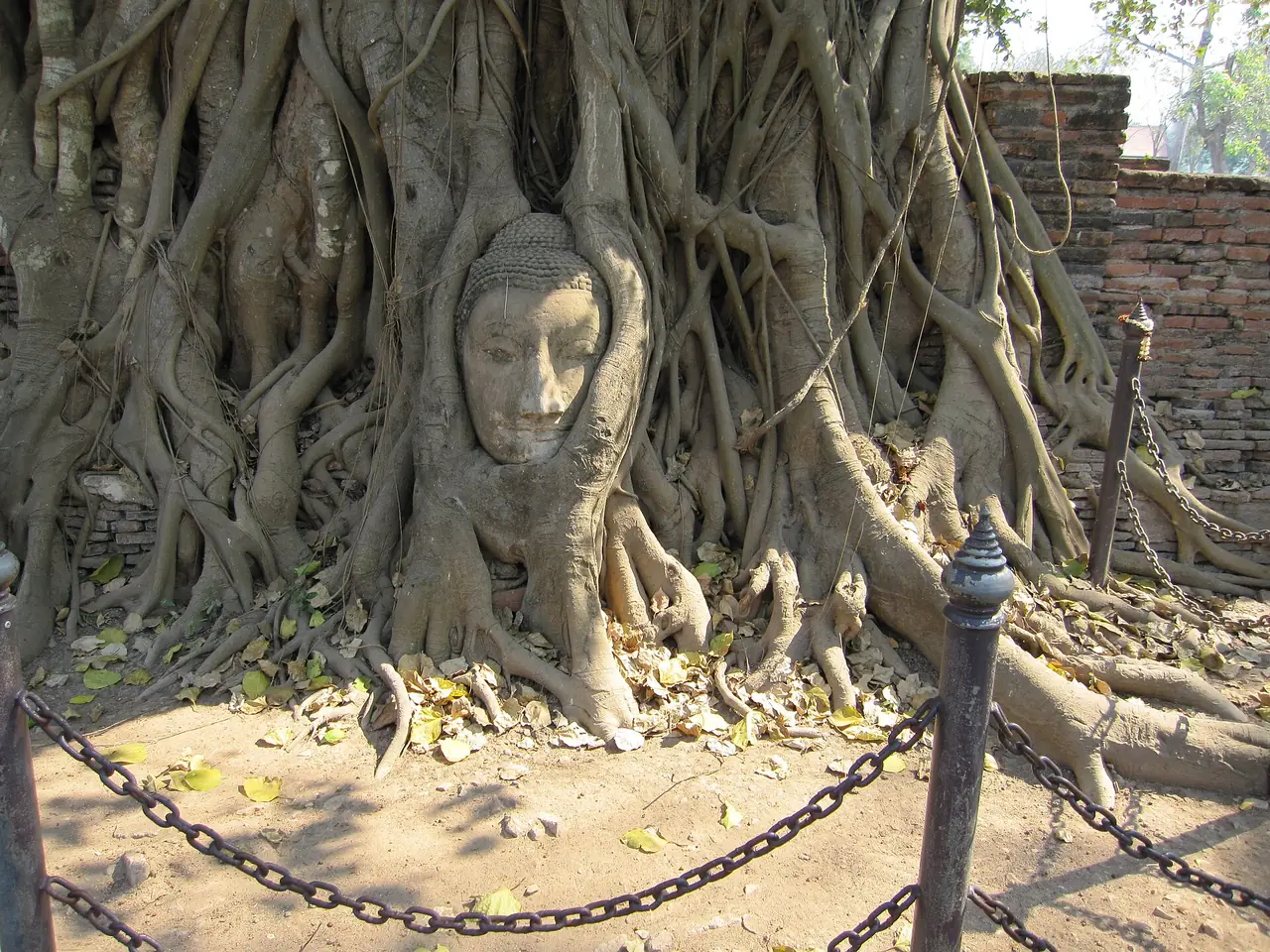 ภาพอยุธยา: ที่พักอยุธยา พักย่านไหนดี พร้อมโรงแรมที่ตรวจข้อมูลแล้ว