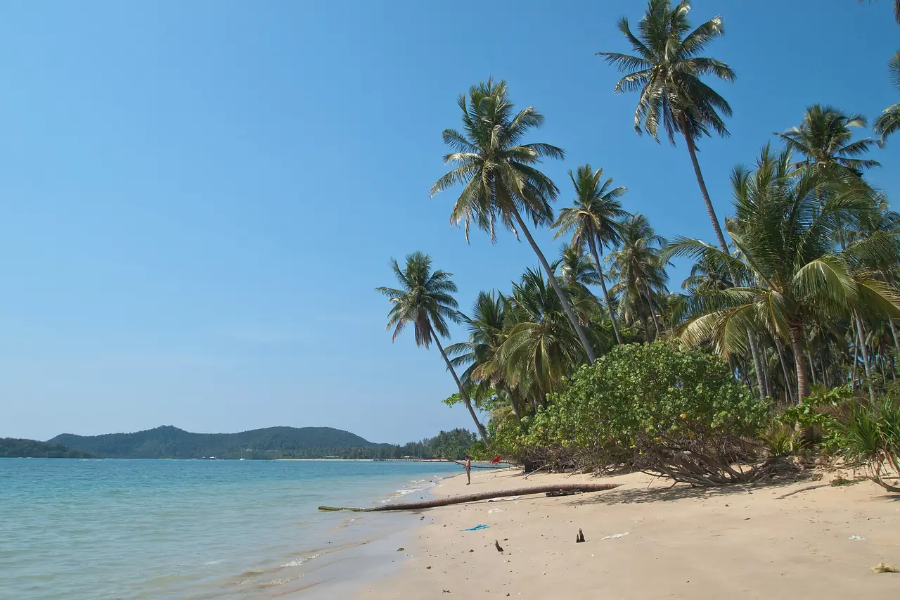 ภาพเกาะหมาก: ที่พักเกาะหมาก: พักอ่าวขาว อ่าวสวนใหญ่ หรือฝั่งเงียบ