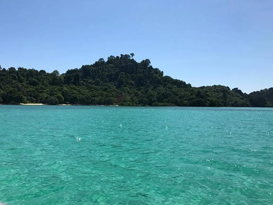 ภาพตรัง: เกาะกระดานและเกาะไหง: ค่าเข้า เรือ ฤดูปิด เลือกเกาะไหน