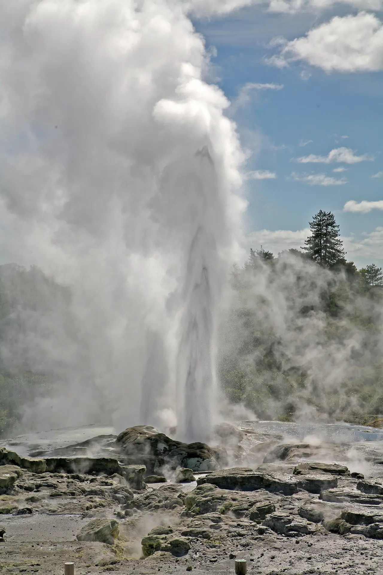 ภาพนิวซีแลนด์: เที่ยวโรโตรัว 2569: Te Puia Wai-O-Tapu ราคา วิธีไป